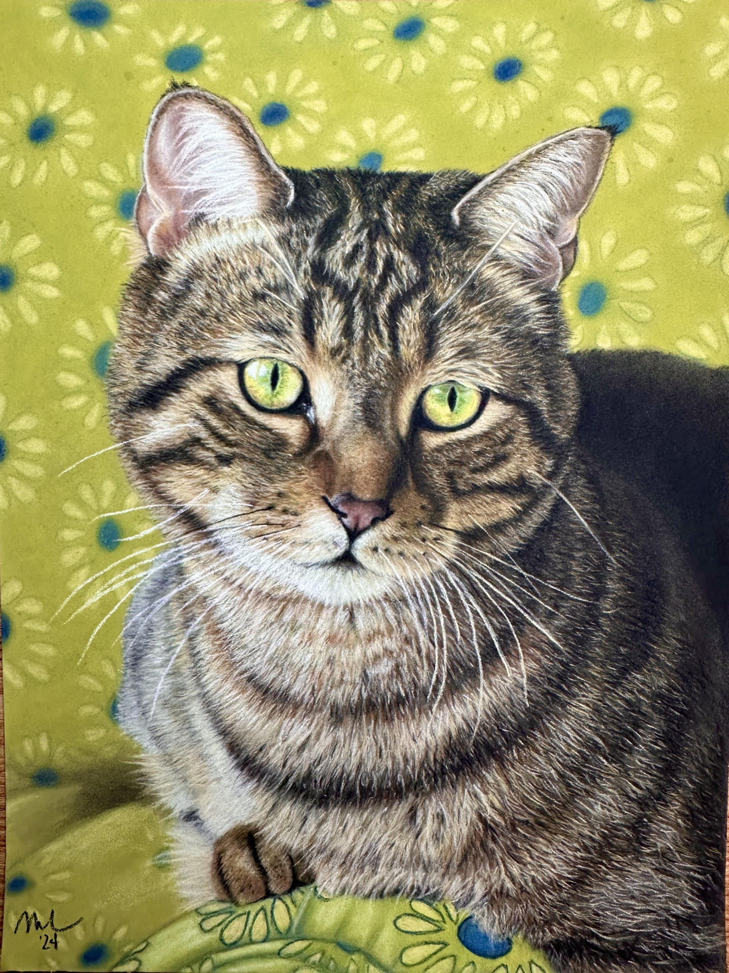 Cat art entry