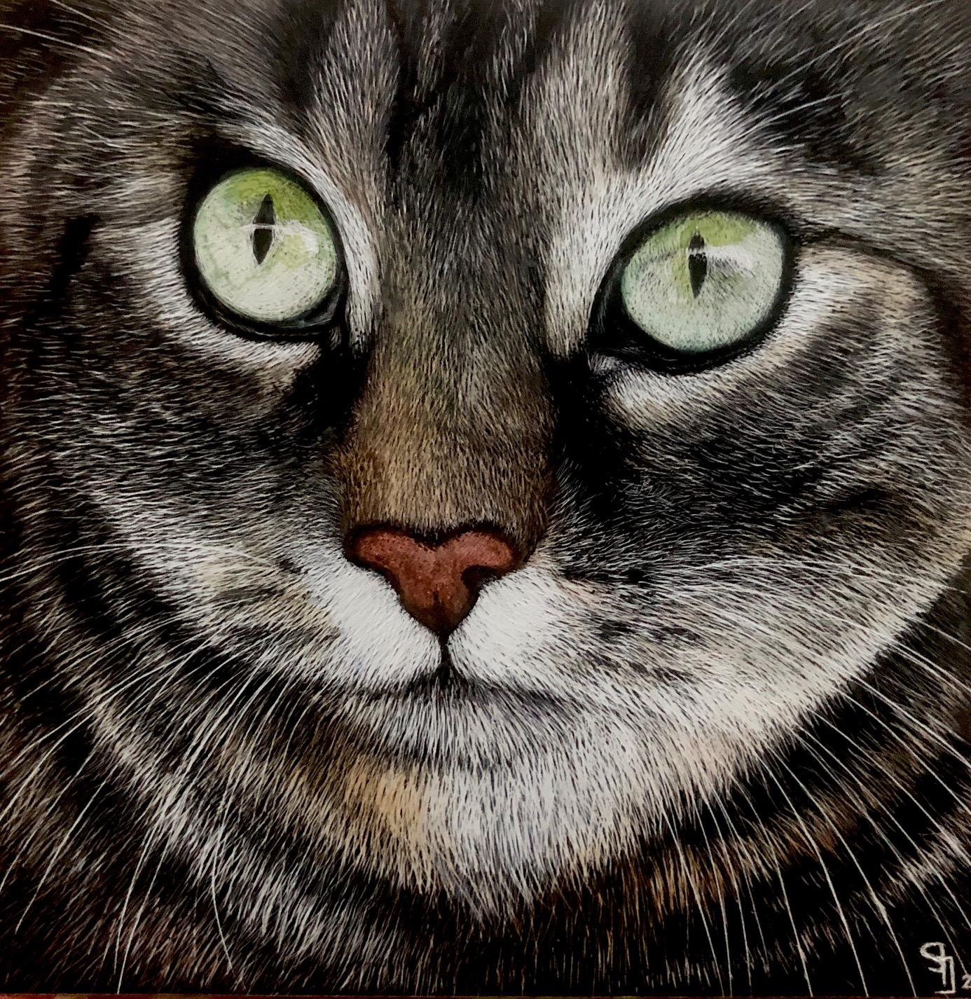 Cat art entry
