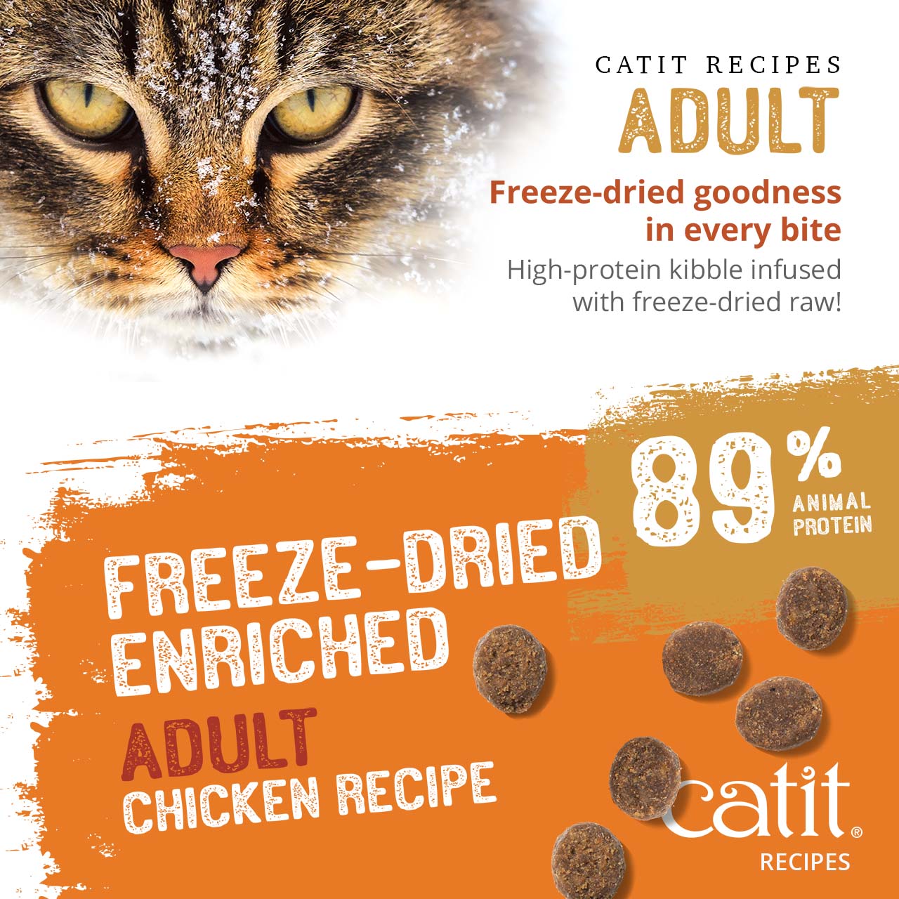 Catit Adult Chicken Recipe cat food, a high-protein kibble infused with freeze-dried raw ingredients containing 89% animal protein