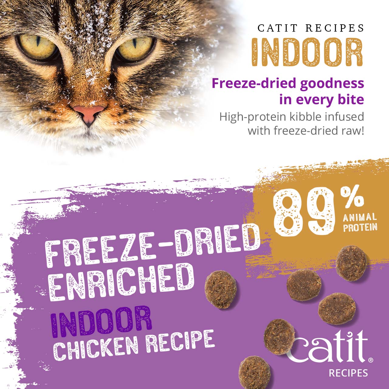 Catit Indoor chicken recipe cat food, featuring high-protein kibble infused with freeze-dried raw ingredients