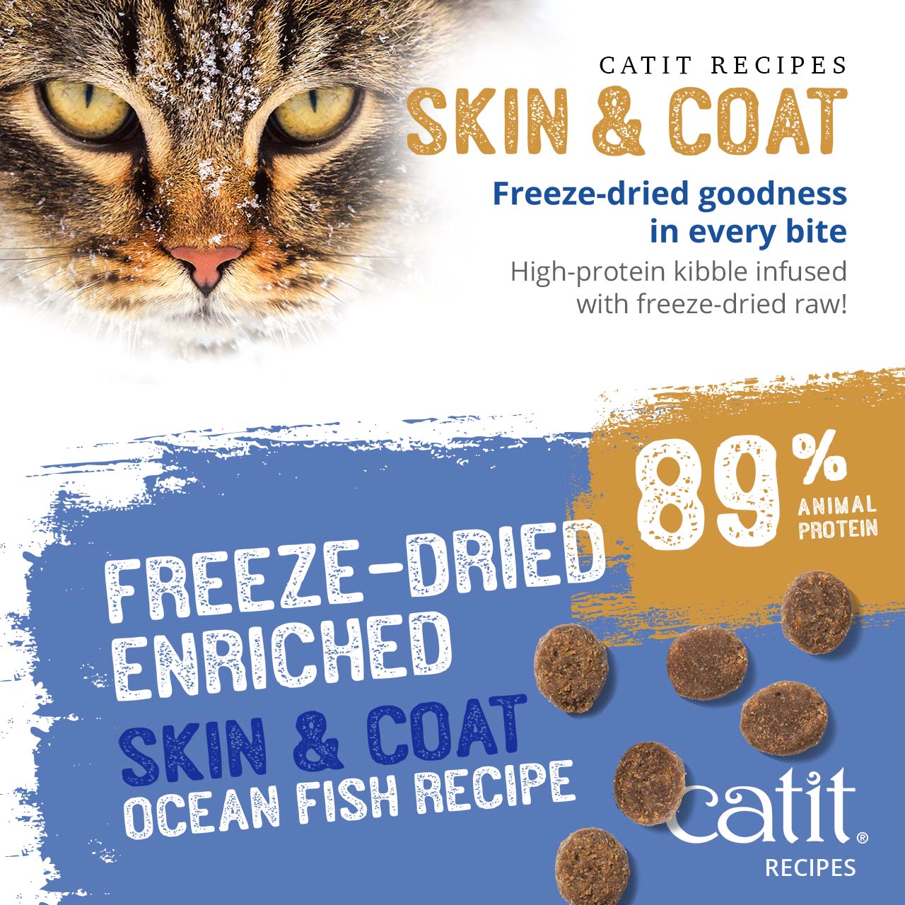 Catit Recipes Skin & Coat Ocean Fish cat food, a high-protein kibble infused with freeze-dried raw ingredients