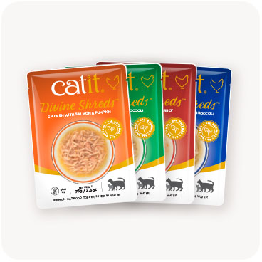 Four pouches of Catit Divine Shreds cat food in various flavors