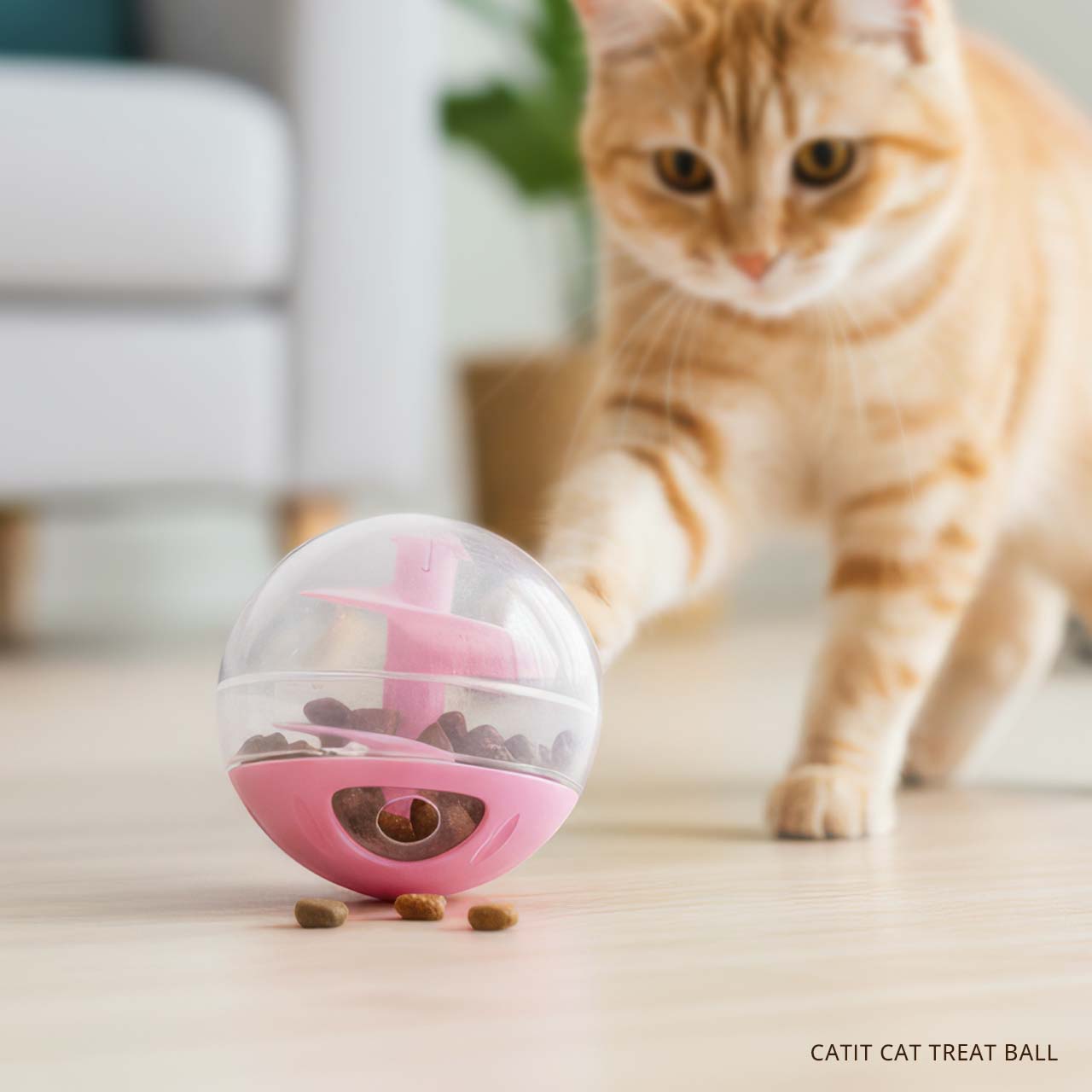 An orange tabby cat bats at a pink and clear Catit treat ball on a light-colored floor, with kibble spilling out