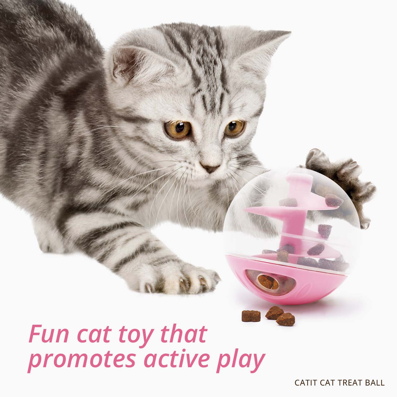 A grey tabby kitten playing with a pink Catit treat ball that dispenses dry food