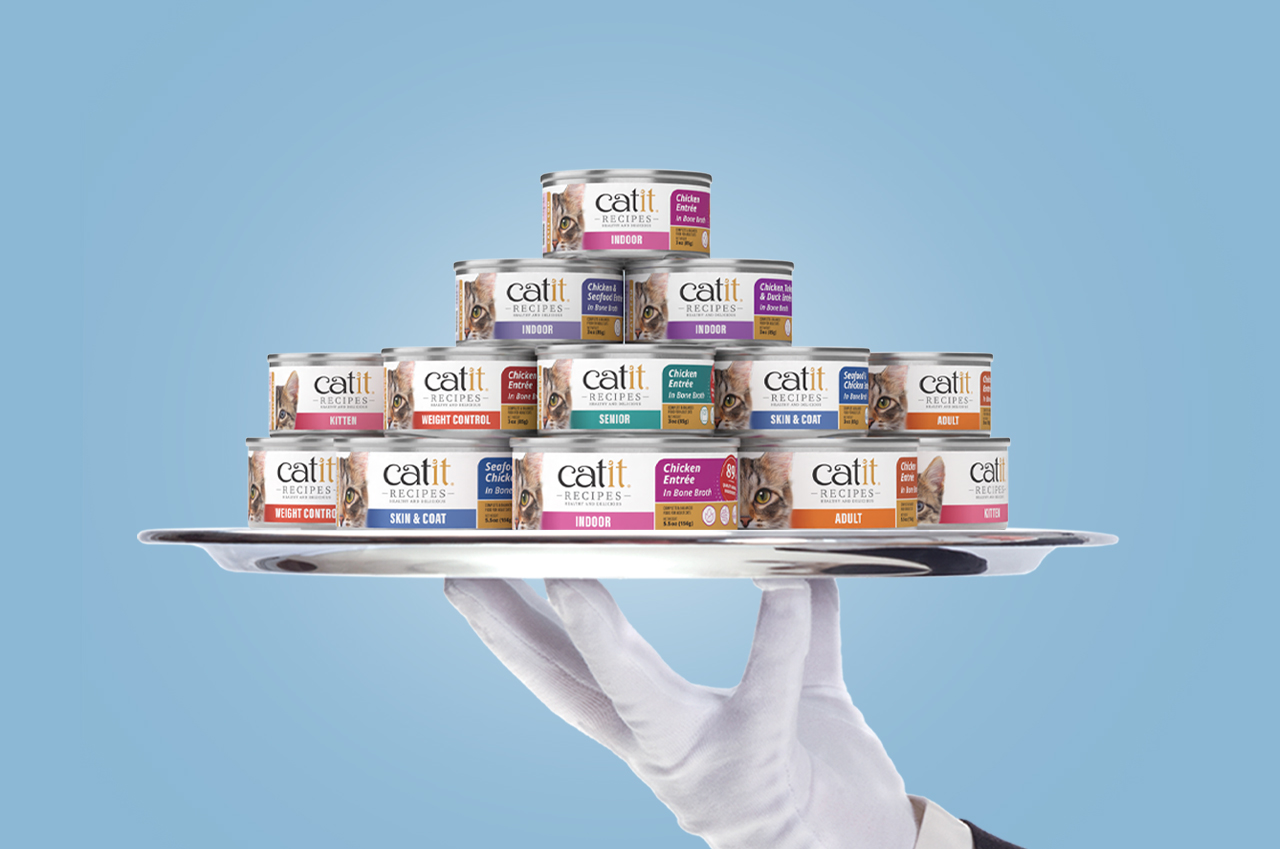 A gloved hand holds a silver platter stacked with various Catit Recipes wet cat food cans