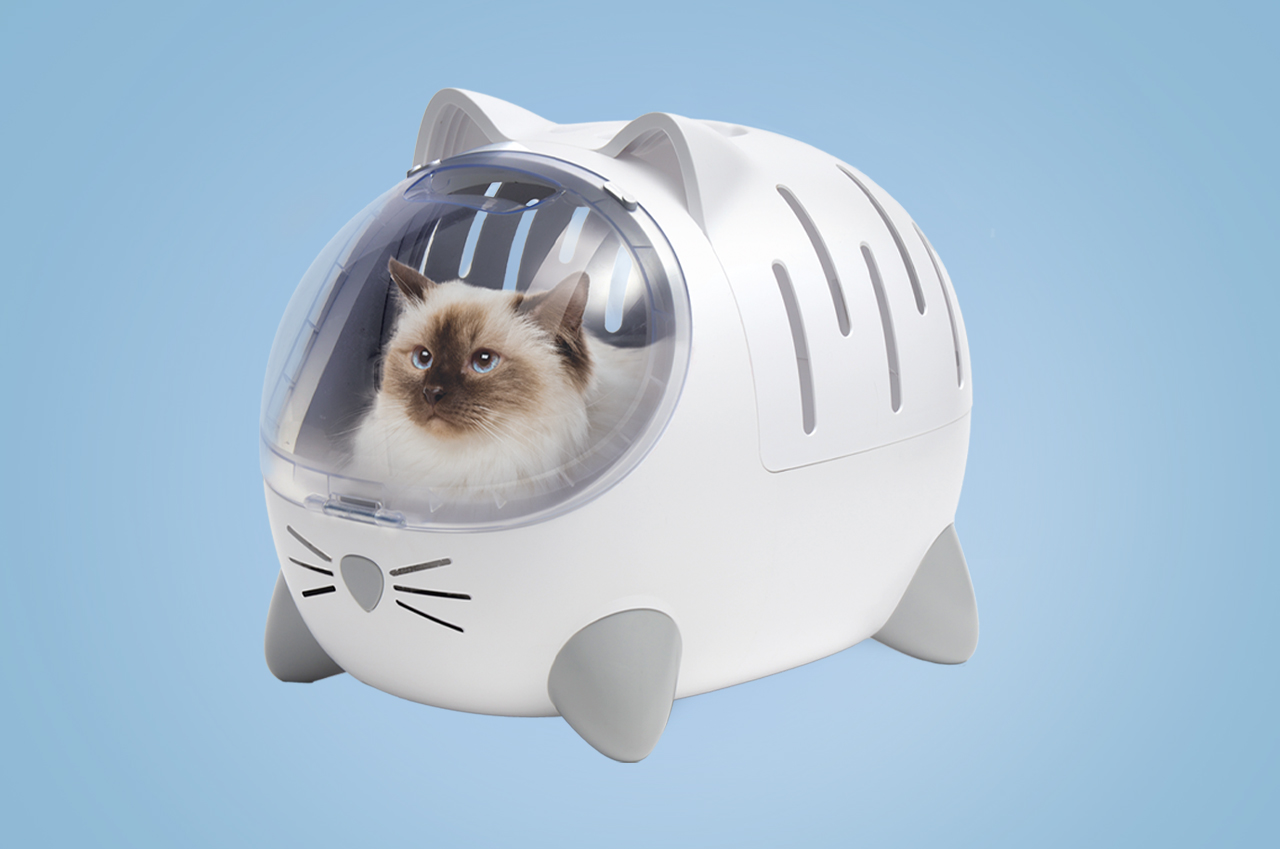 A fluffy cat sitting inside a white, cat-shaped plastic pet carrier with a clear, bubble-style front window