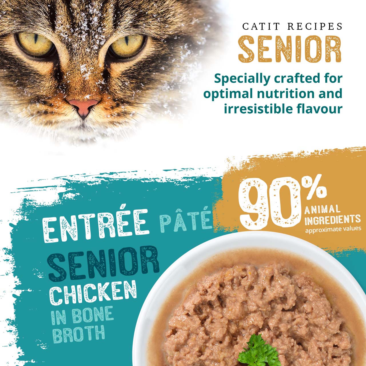 Catit Recipes Senior Chicken in Bone Broth pâté for cats, featuring 90% animal ingredients