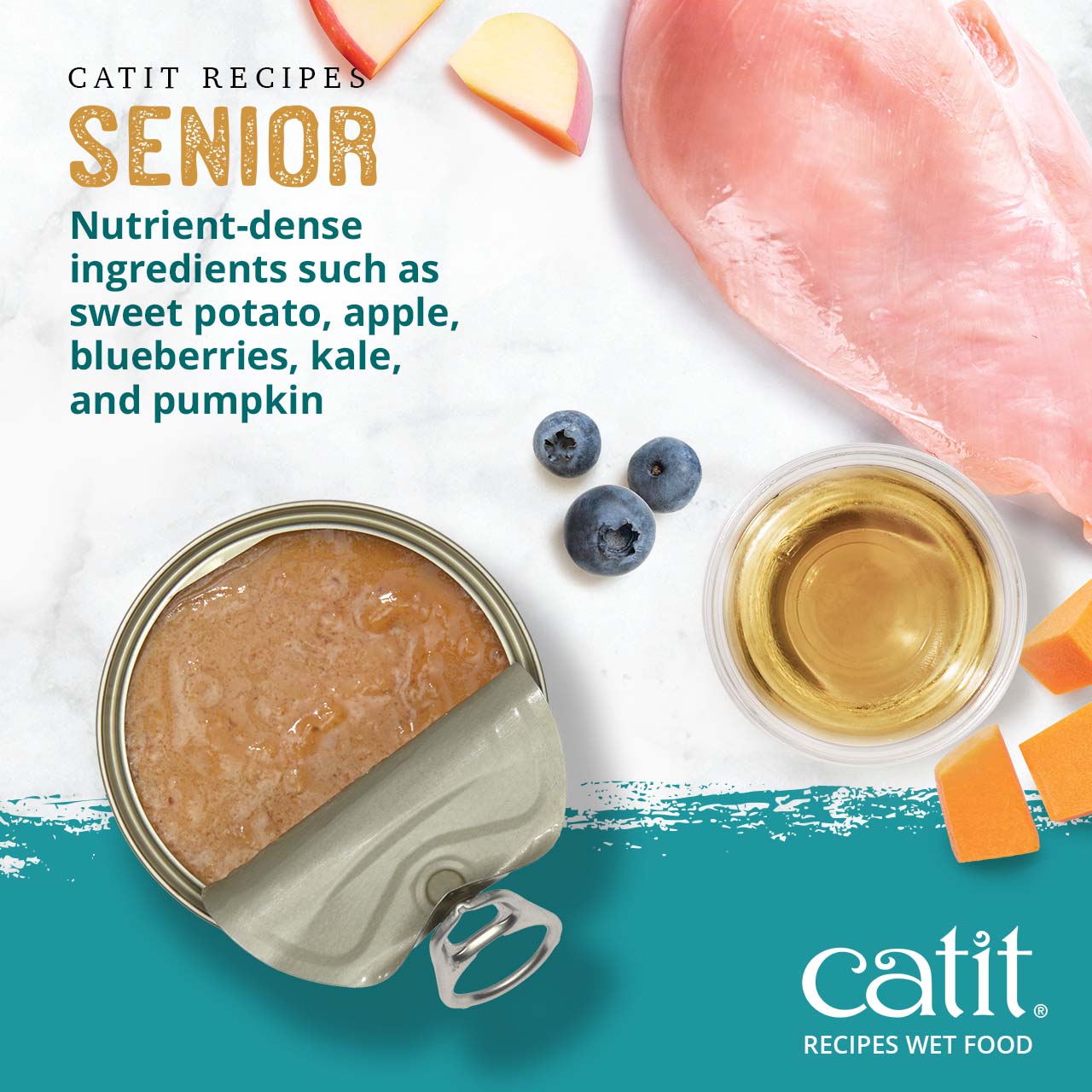 Catit Senior wet cat food featuring nutrient-dense ingredients like sweet potato, apple, blueberries, kale, and pumpkin
