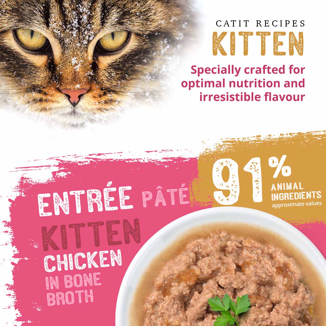 Catit Recipes Kitten Entrée Pâté chicken in bone broth, featuring 91% animal ingredients for optimal kitten nutrition