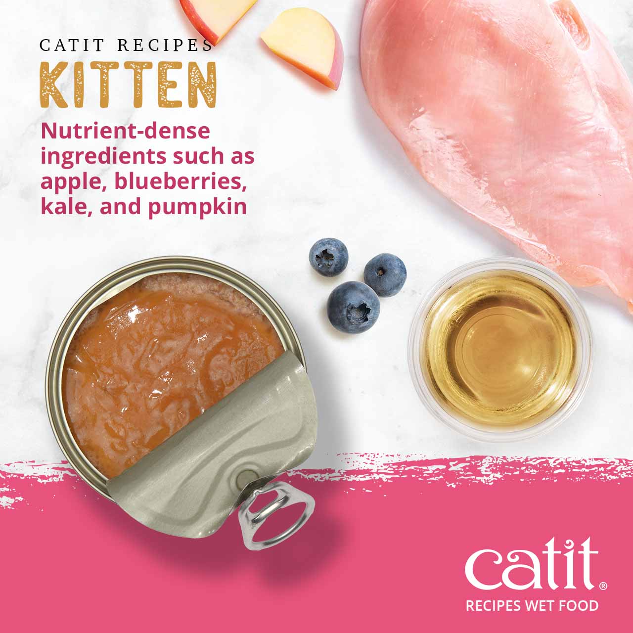 Catit kitten wet food featuring nutrient-dense ingredients like apple, blueberries, kale, and pumpkin