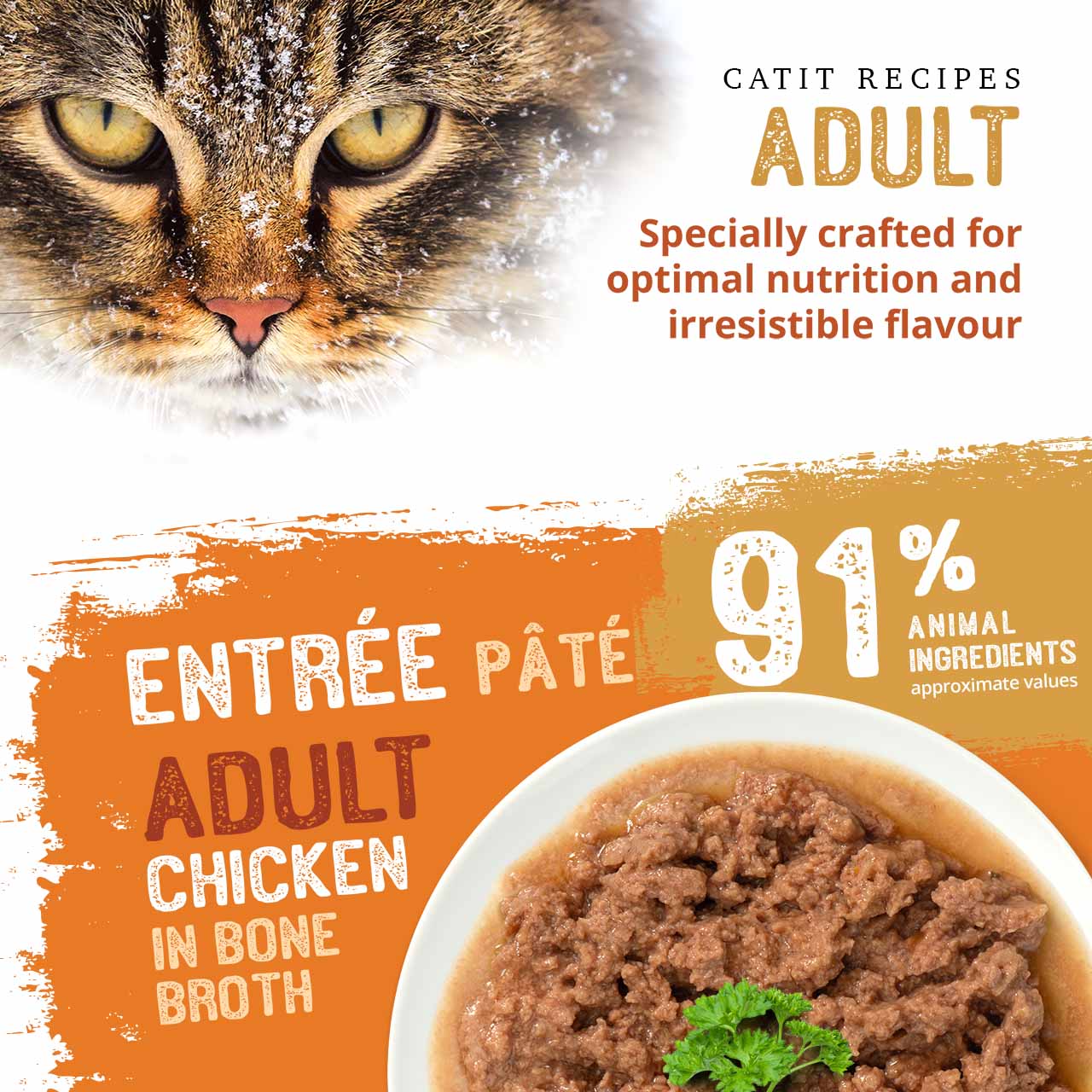 Catit Adult Chicken in Bone Broth pâté cat food, featuring 91% animal ingredients for optimal nutrition