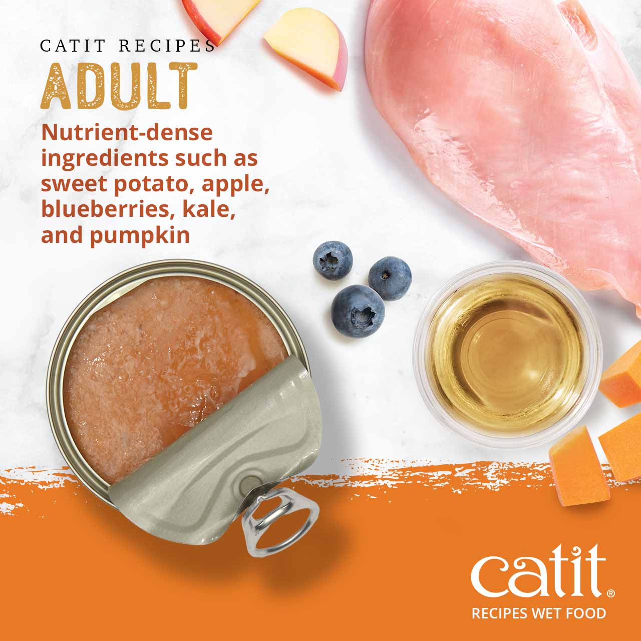 Catit Adult wet cat food features nutrient-dense ingredients like sweet potato, apple, blueberries, kale, and pumpkin