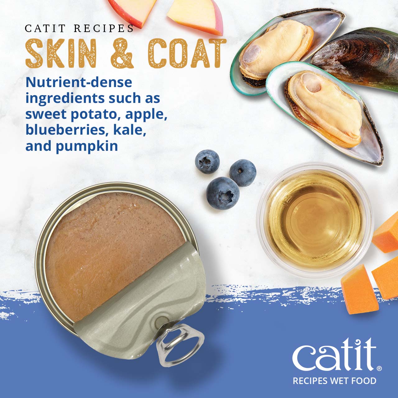 Catit Skin & Coat wet cat food features nutrient-dense ingredients like sweet potato, apple, blueberries, kale, and pumpkin