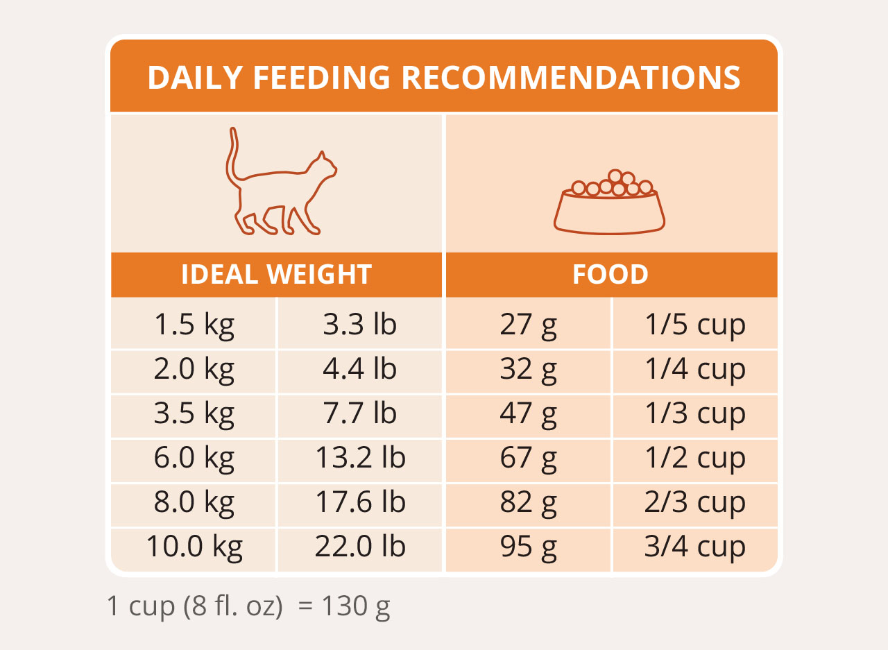 Catit daily feeding guide chart showing recommended food amounts in grams and cups based on a cat's ideal body weight