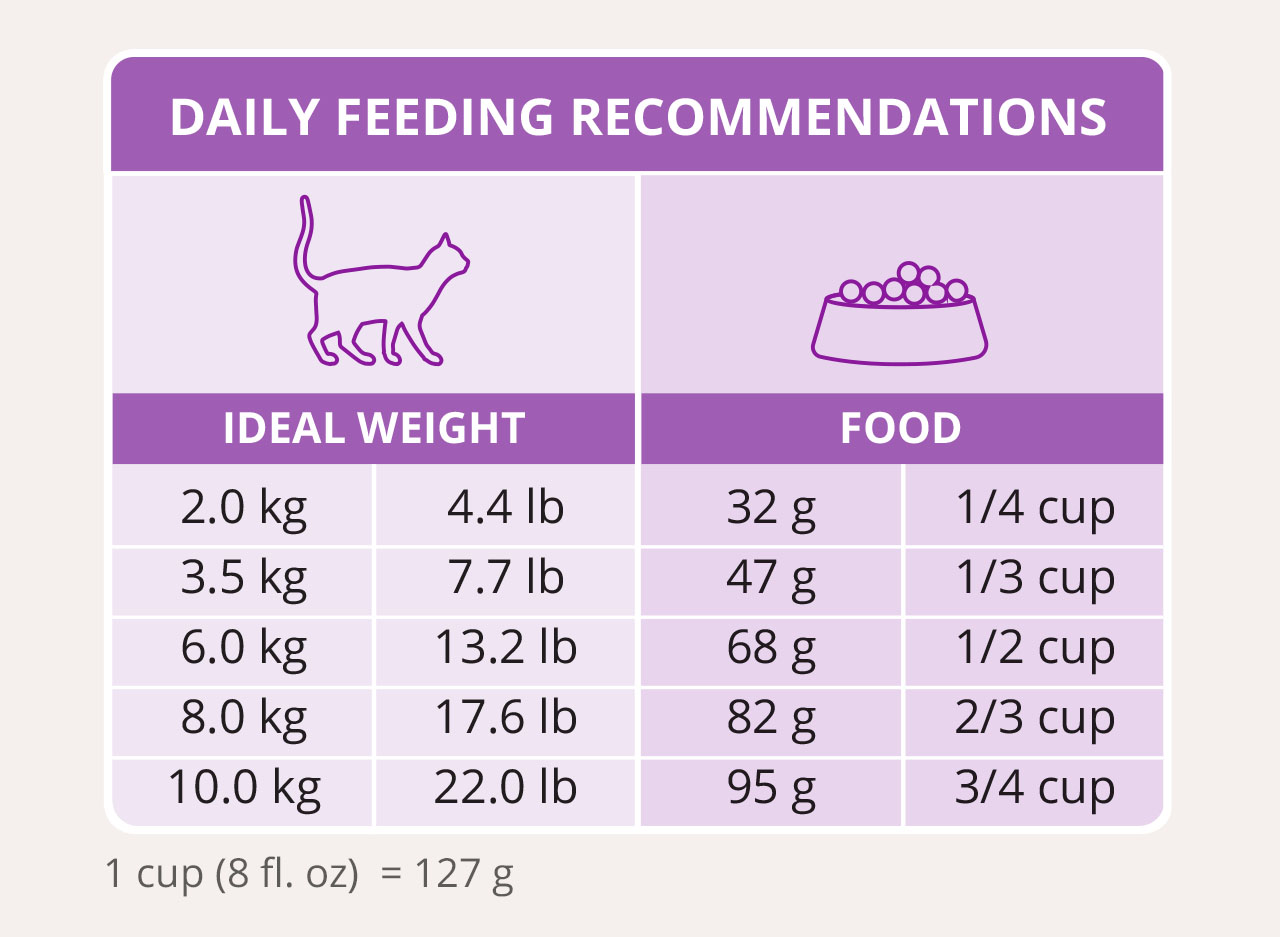 Catit daily feeding recommendations chart showing food amounts in grams and cups based on a cat's ideal weight