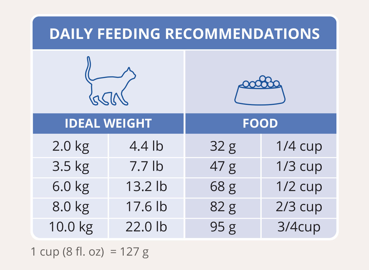 Catit daily feeding recommendations chart showing the amount of food in grams and cups based on a cat's ideal body weight