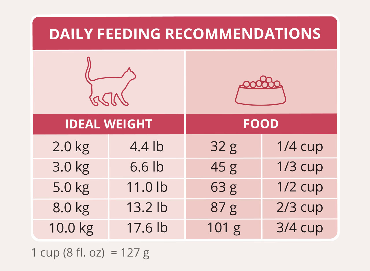 Catit daily feeding recommendations chart showing food amounts in grams and cups based on a cat's ideal body weight