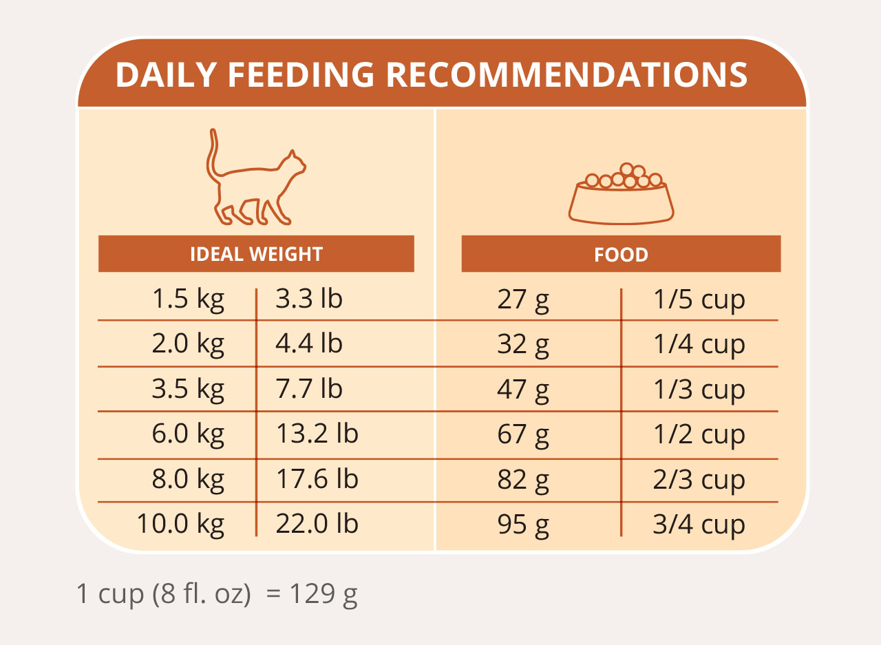 Catit daily feeding chart for cats, showing recommended food amounts in grams and cups based on the cat's ideal body weight
