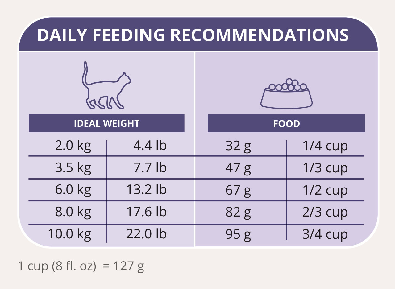 Daily feeding recommendations chart for cats, listing food amounts in grams and cups based on ideal body weight