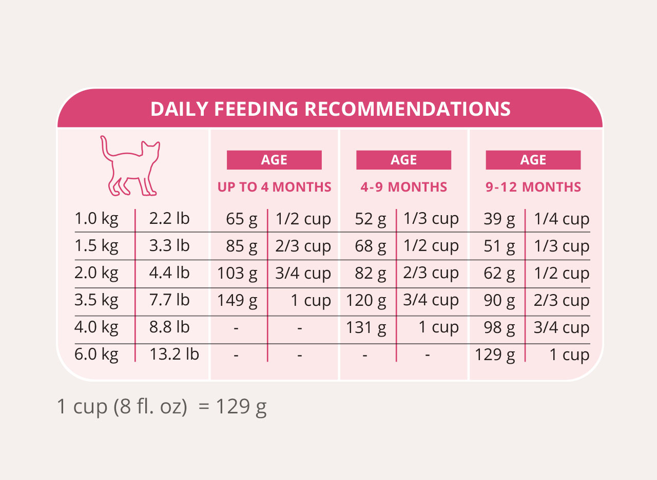 Catit daily feeding recommendations chart for kittens based on weight and age in months