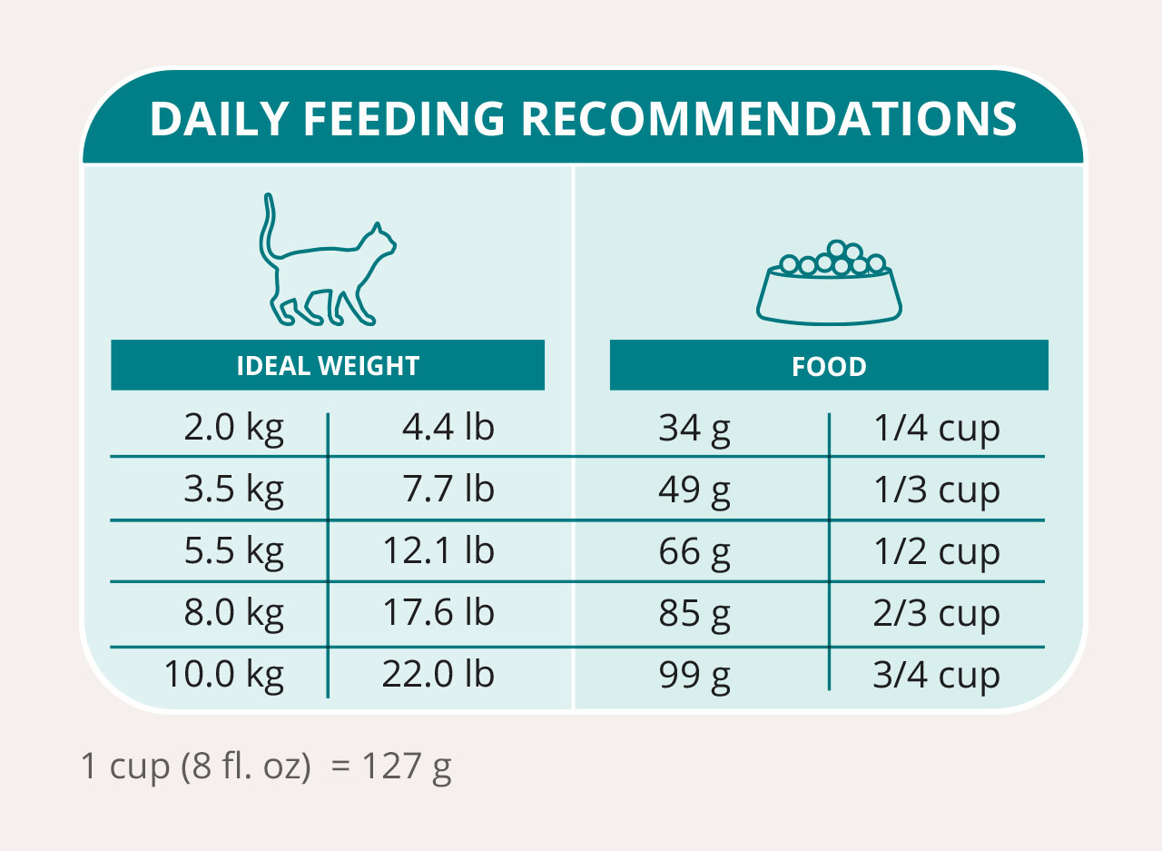 Daily feeding chart for cats, showing recommended food amounts in grams and cups based on the cat's weight in kg and lb