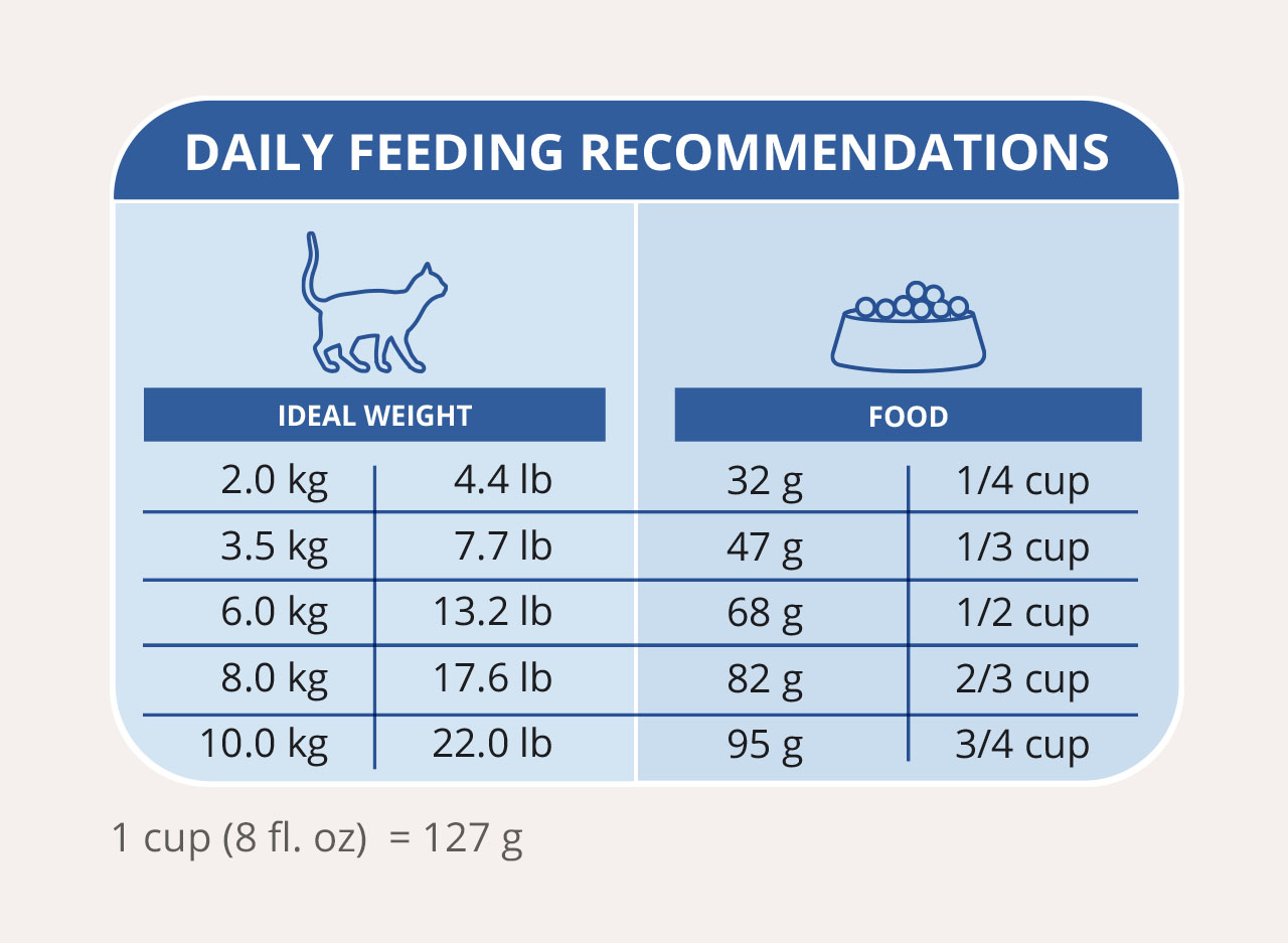 Daily feeding chart for cats, listing recommended food amounts in grams and cups based on the cat's ideal body weight