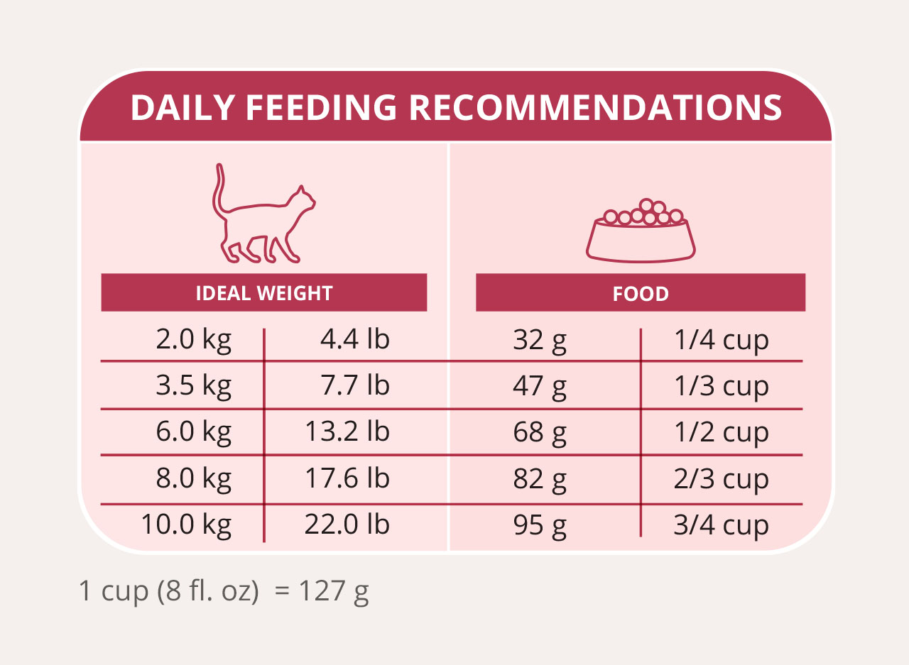 Catit daily feeding recommendations chart based on a cat's ideal weight in kilograms and pounds, showing food amounts in grams and cups