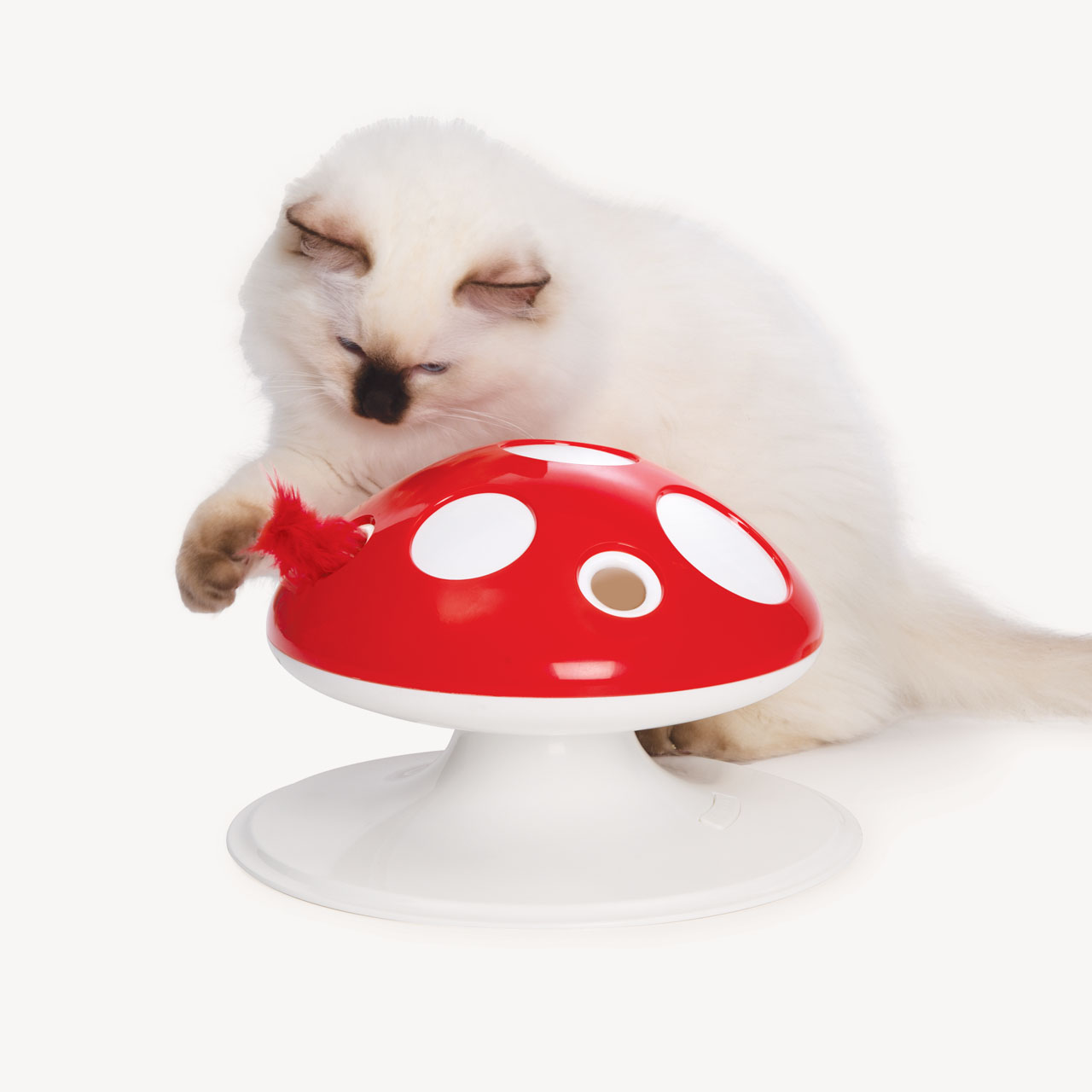 A fluffy white cat playing with a red and white mushroom-shaped interactive cat toy