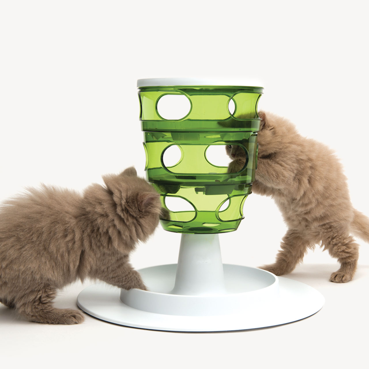 Two fluffy kittens playing with a green Catit Senses Food Tree puzzle feeder on a white background