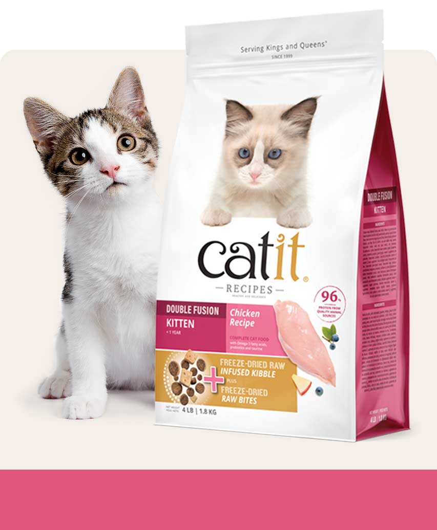 Catit Double Fusion Kitten chicken recipe cat food packaging next to a kitten