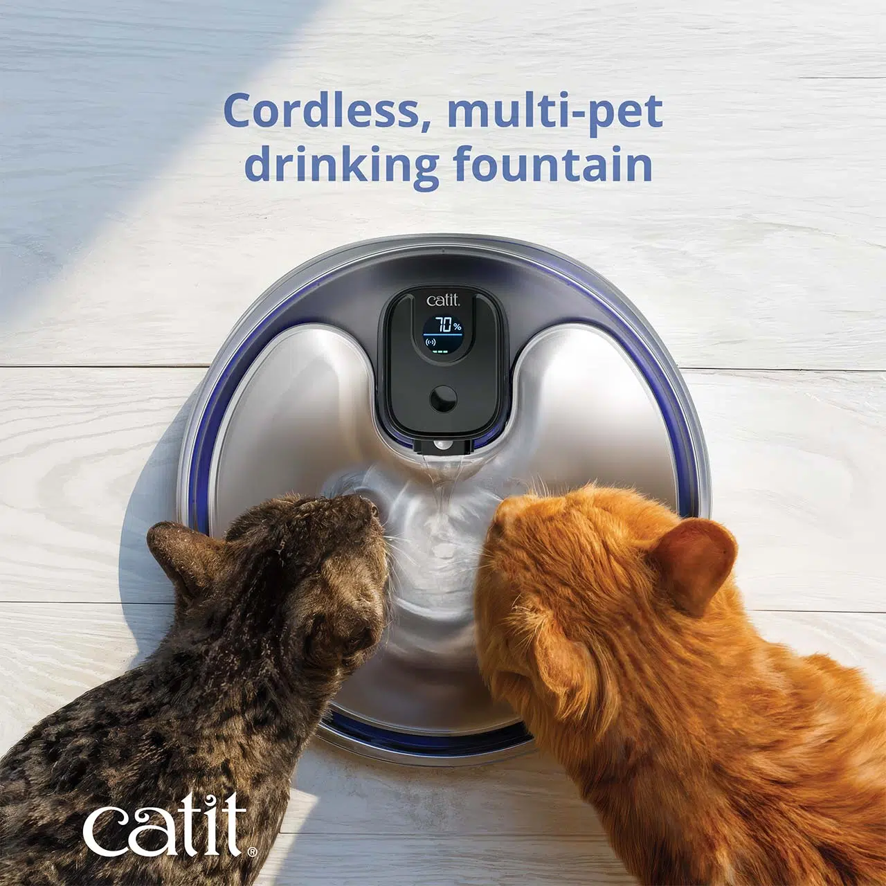 Two cats drinking from a Catit PIXI cordless stainless steel water fountain with a digital display