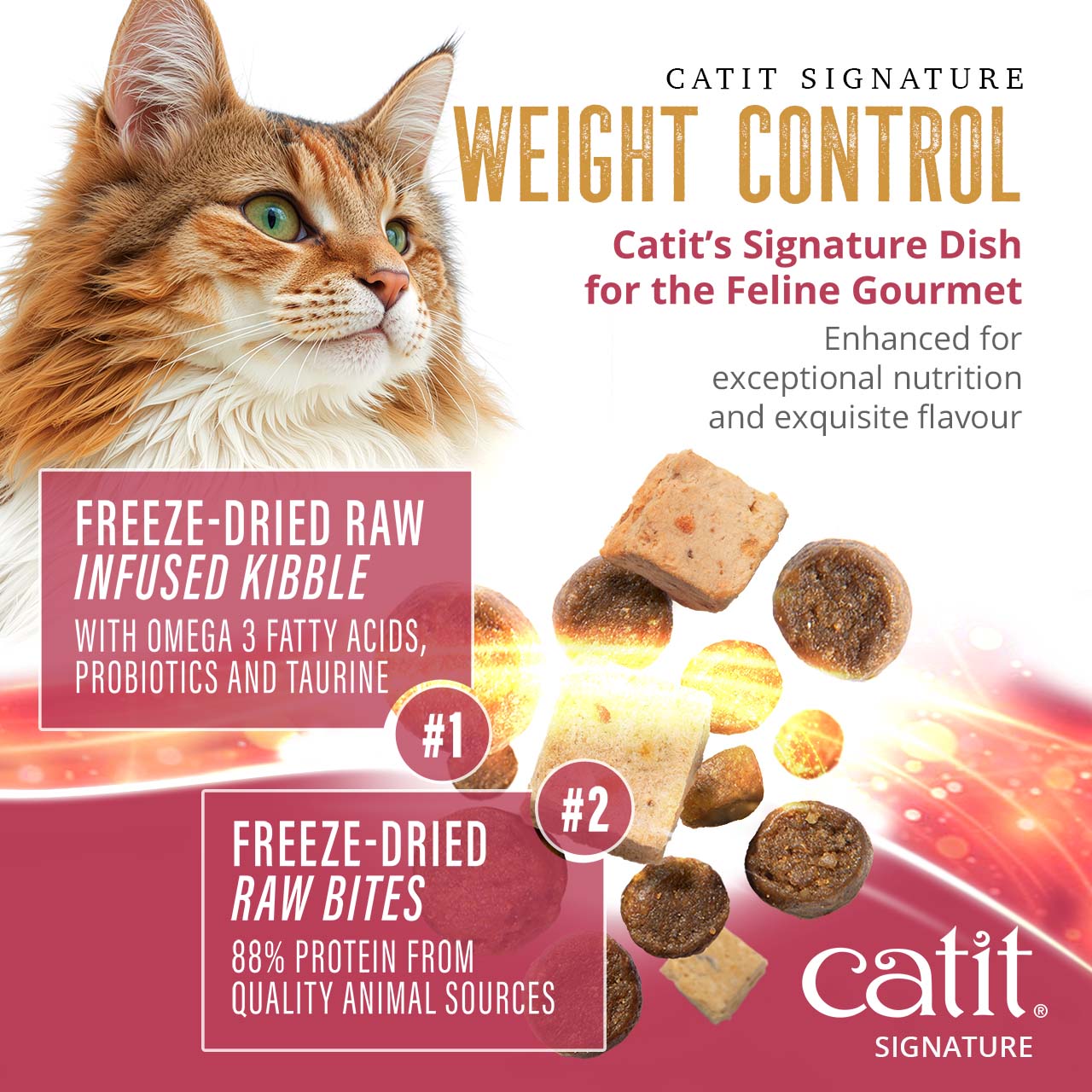 Catit Signature Weight Control cat food featuring freeze-dried raw infused kibble and freeze-dried raw bites