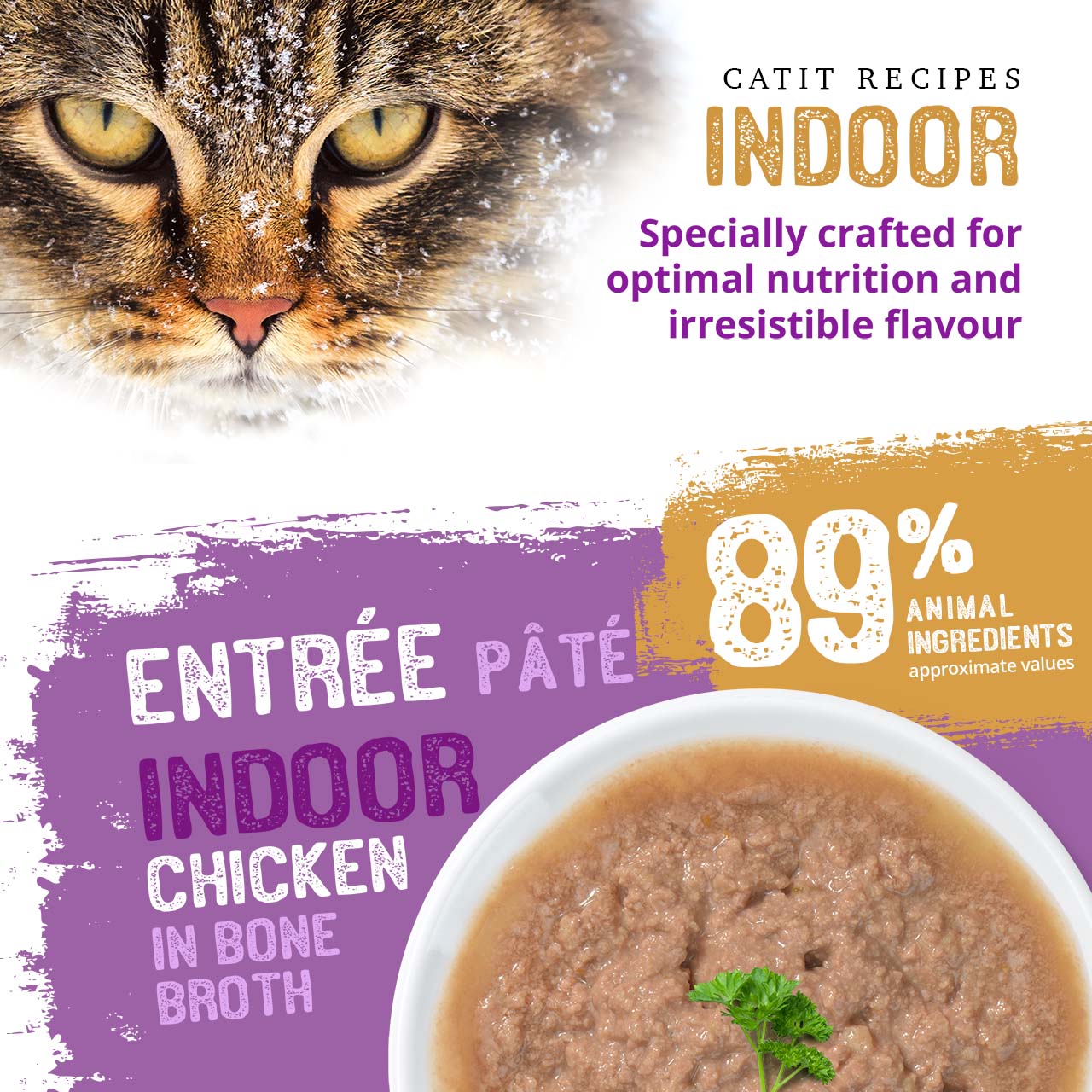 Catit Indoor Chicken in Bone Broth pâté, featuring 89% animal ingredients for optimal nutrition and flavor
