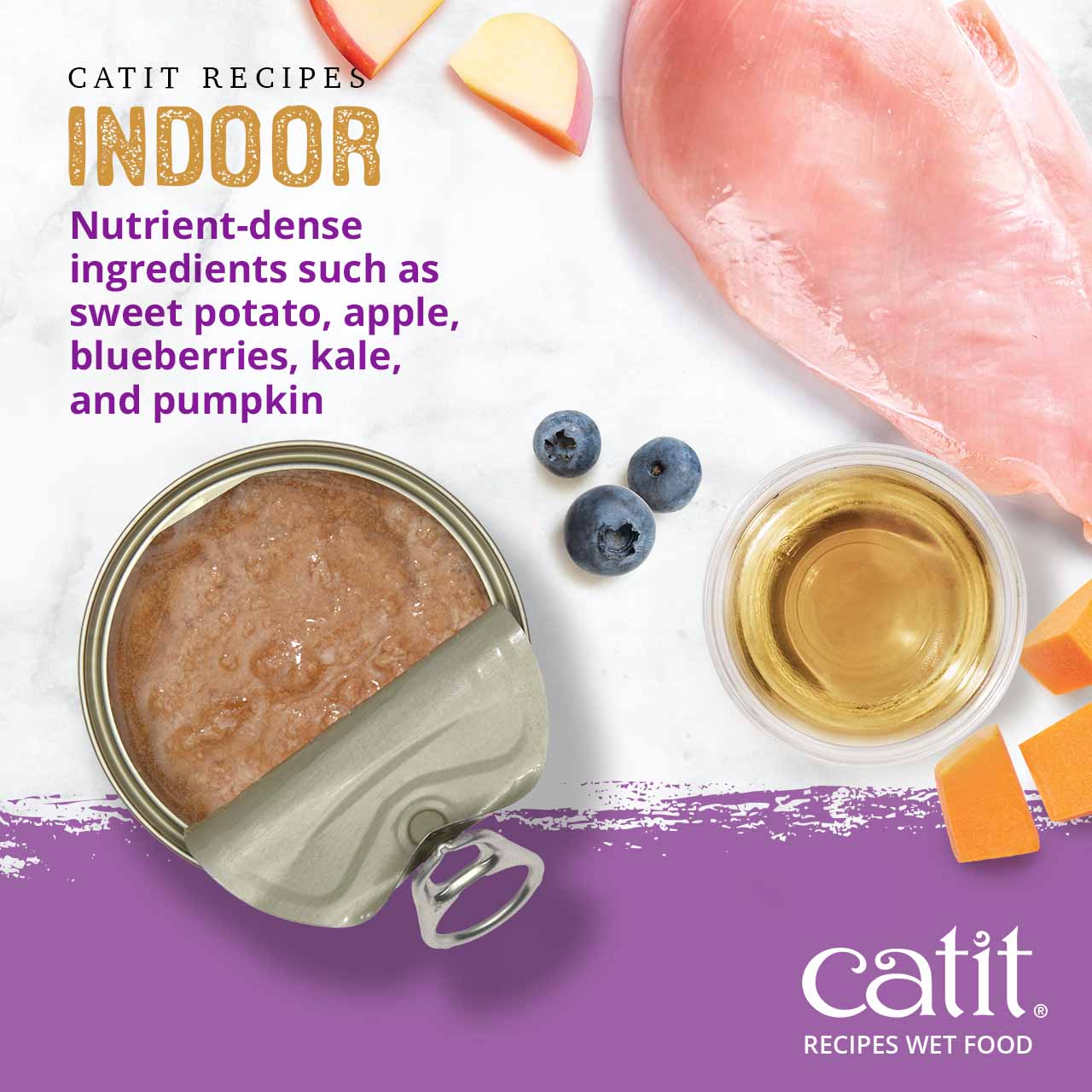 Catit Indoor wet cat food featuring nutrient-dense ingredients like sweet potato, apple, blueberries, kale, and pumpkin