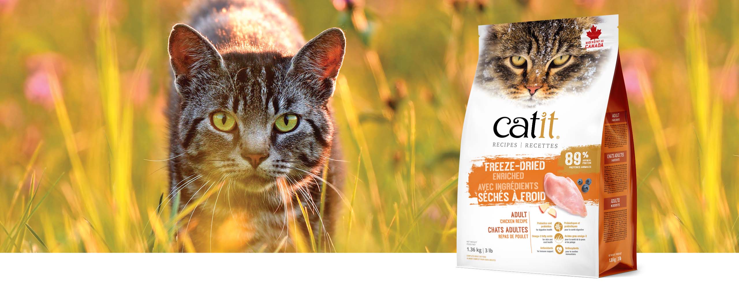 Catit freeze-dried chicken recipe cat food packaging next to a cat in a grassy field