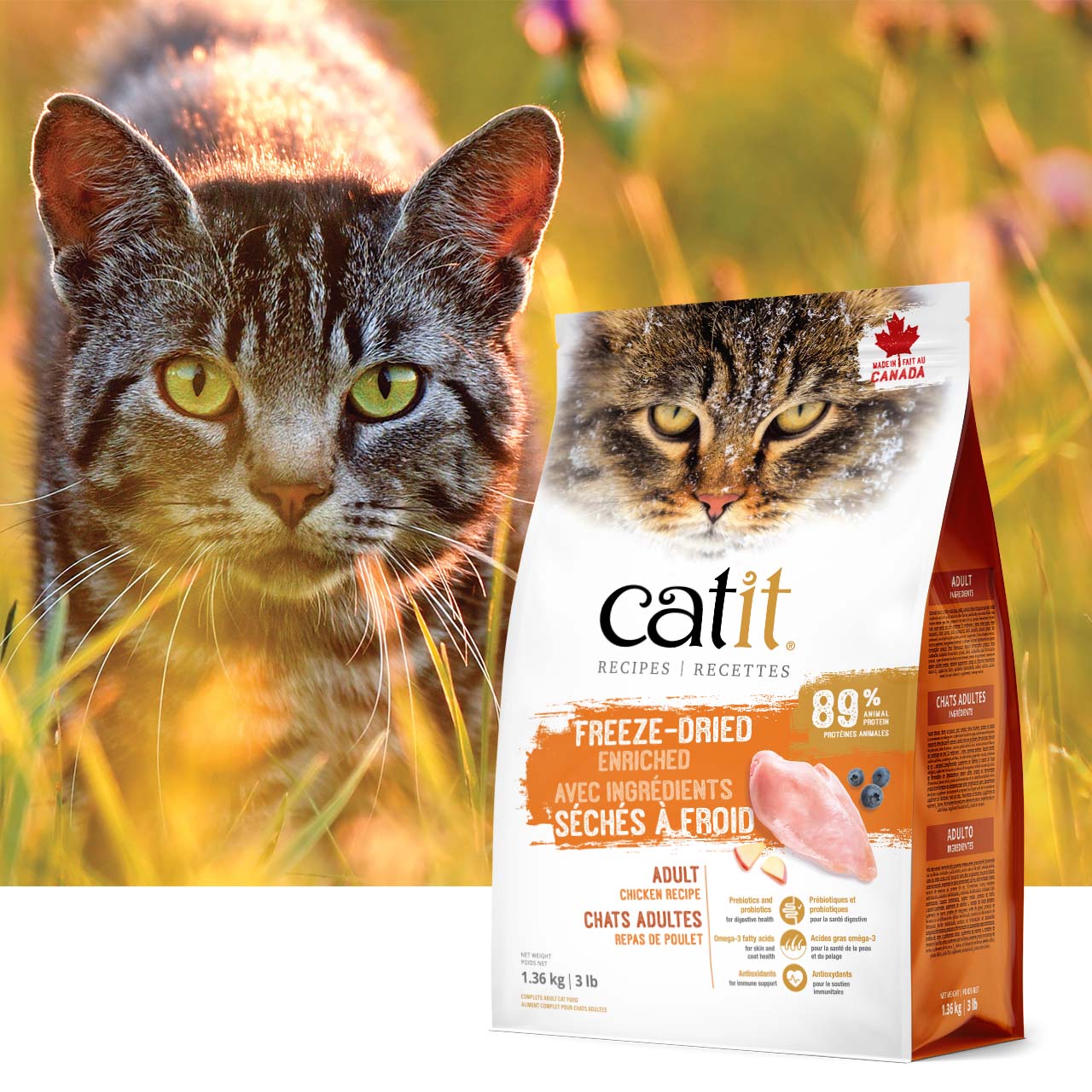 Catit freeze-dried chicken recipe adult cat food packaging in a grassy field with a cat in the background