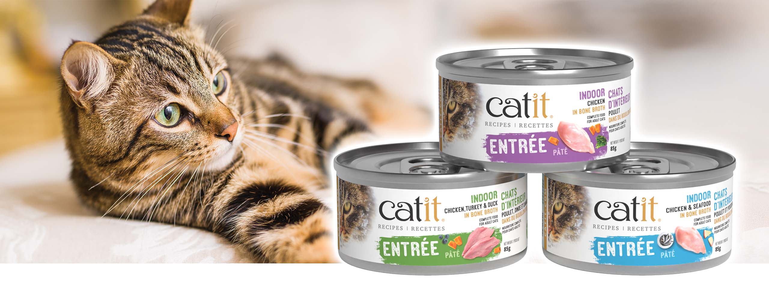 A tabby cat lying next to three cans of Catit Indoor cat food in chicken, chicken-turkey-duck, and chicken-seafood flavors