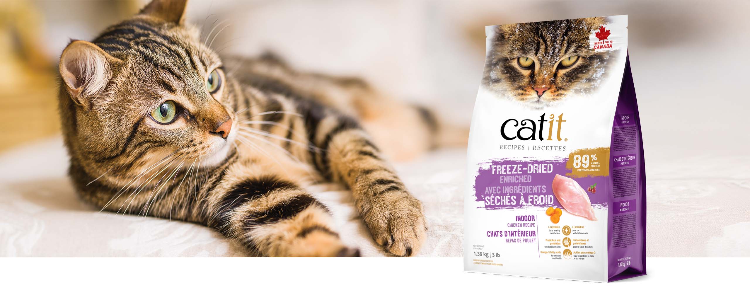 A tabby cat lying next to a bag of Catit Indoor Chicken Recipe freeze-dried cat food