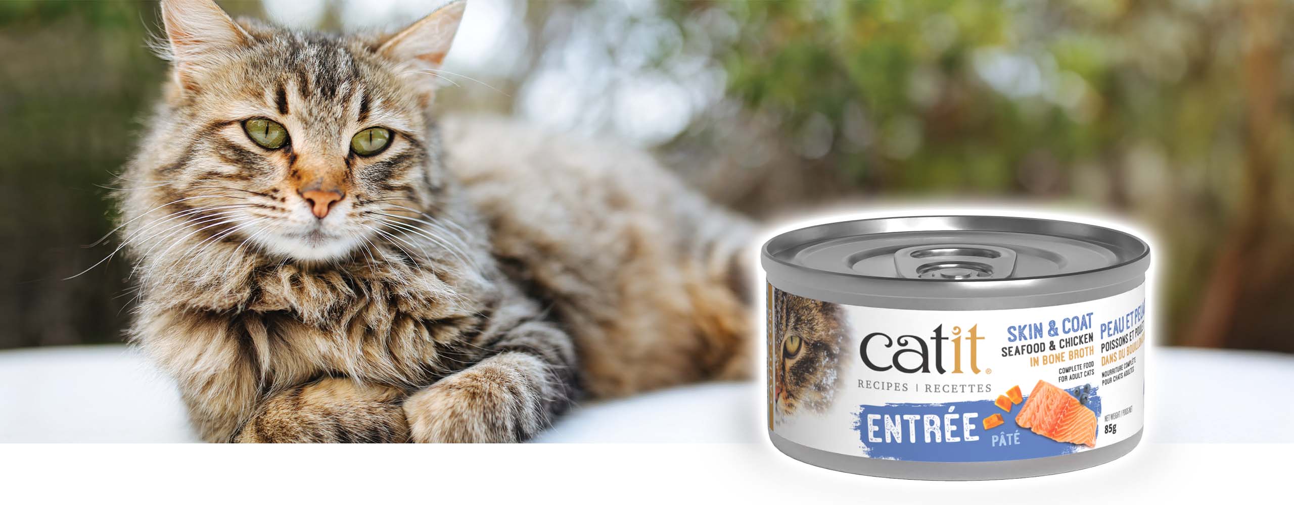 A tabby cat resting next to a can of Catit Skin & Coat seafood and chicken pâté cat food