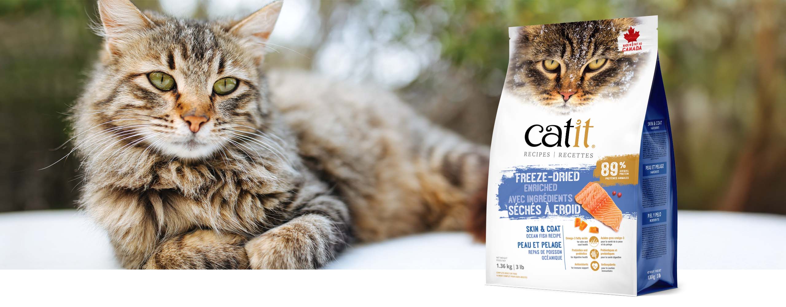A fluffy tabby cat lying next to a bag of Catit Skin & Coat freeze-dried ocean fish recipe cat food