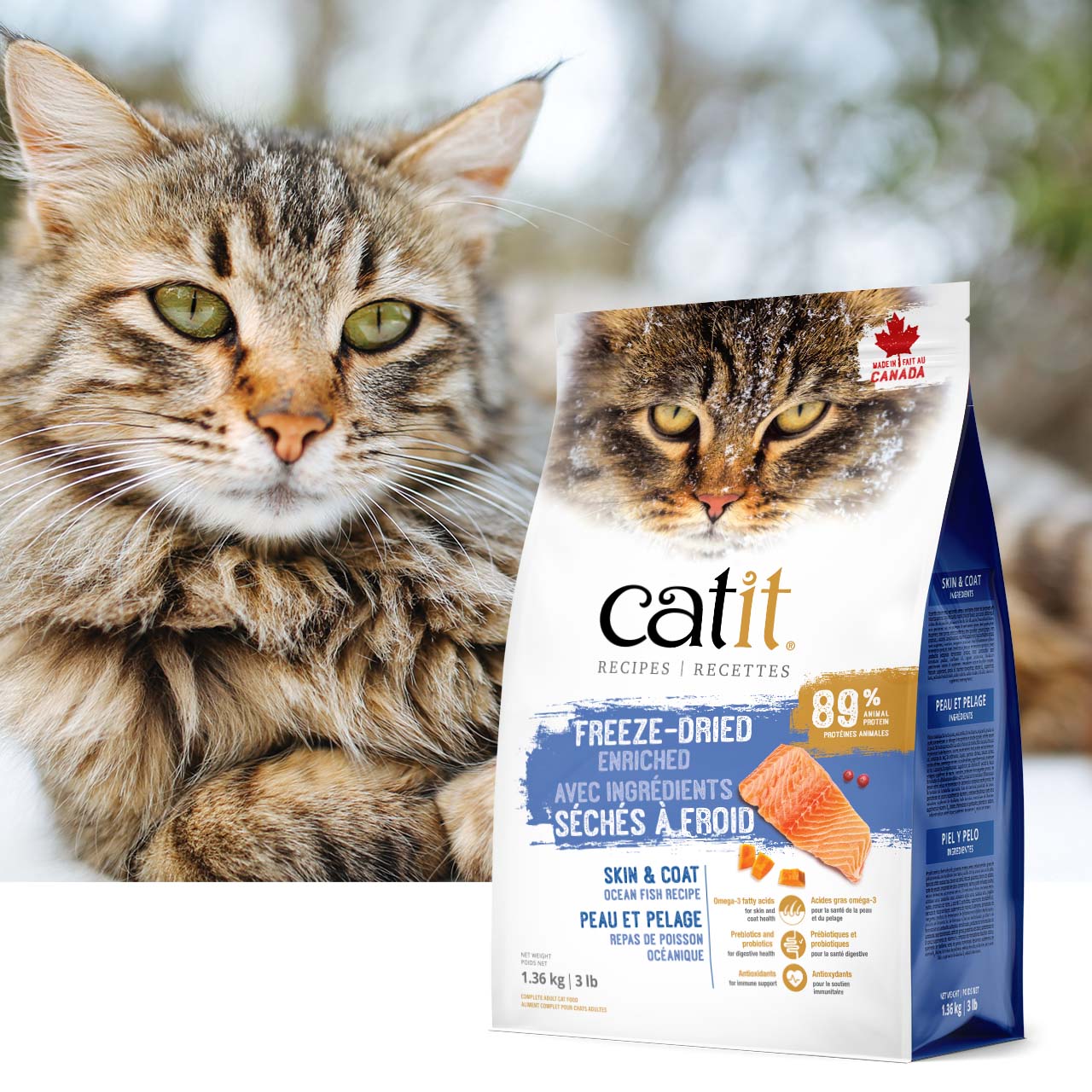 A fluffy tabby cat next to a bag of Catit Skin & Coat freeze-dried ocean fish cat food