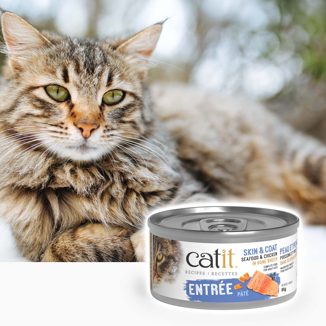 A fluffy tabby cat lying behind a can of Catit Skin & Coat seafood and chicken pâté cat food