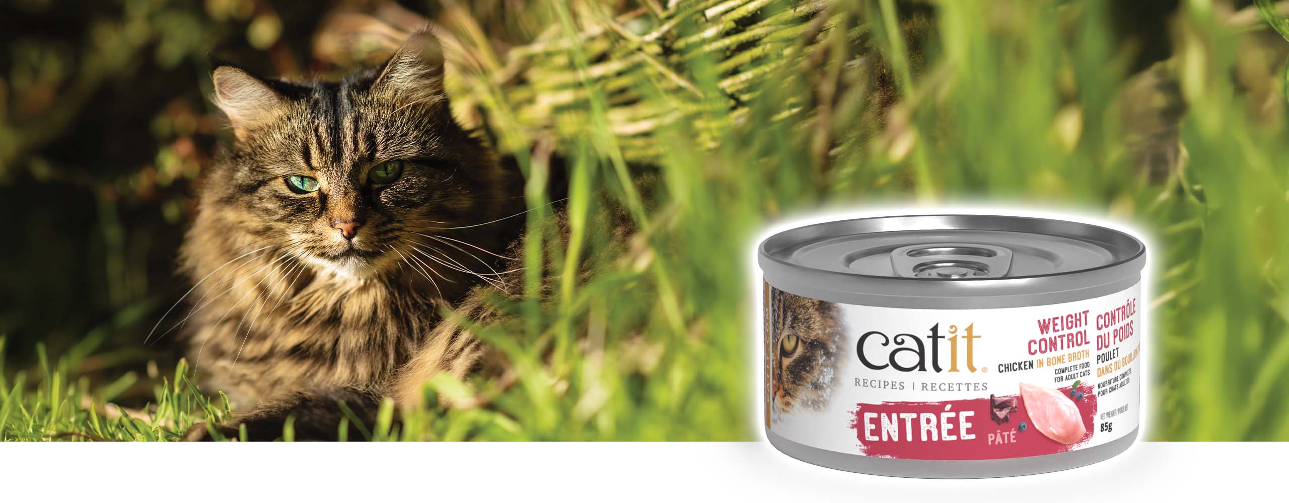 A long-haired tabby cat sitting in grass next to a can of Catit Weight Control chicken in bone broth pâté cat food