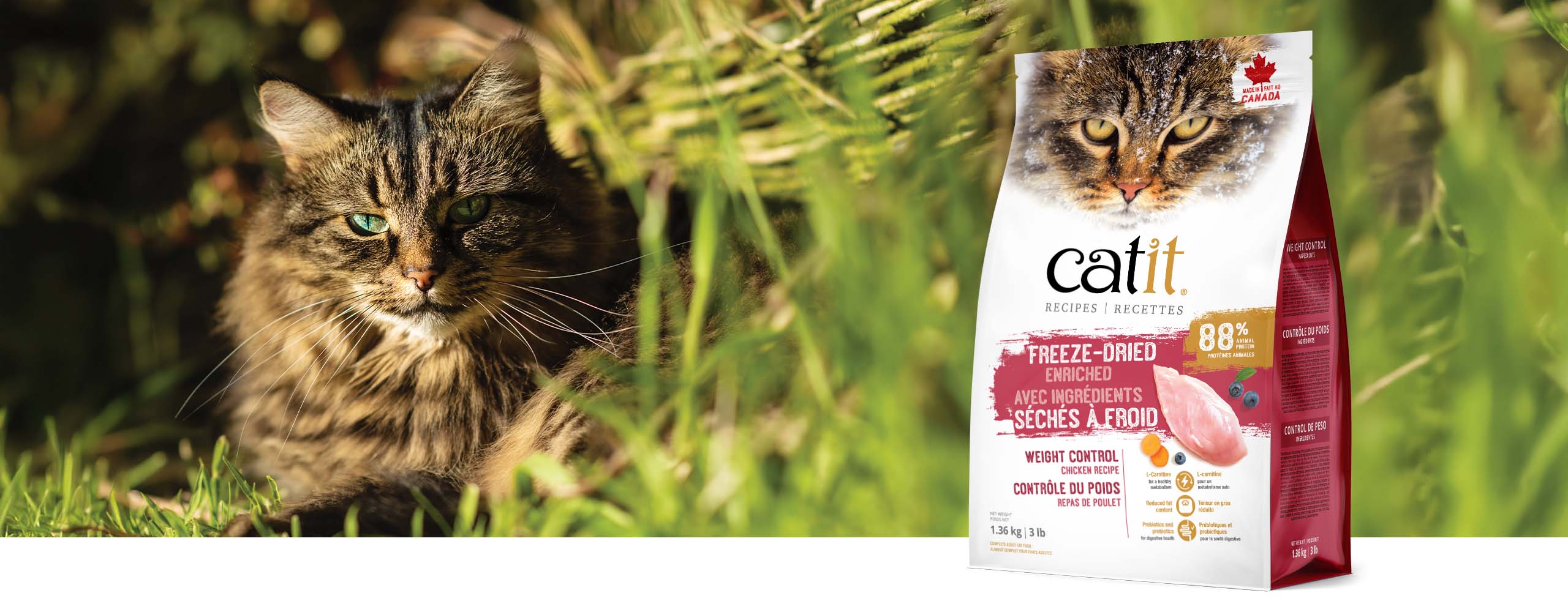 A fluffy tabby cat sits in the grass next to a bag of Catit Weight Control freeze-dried chicken cat food