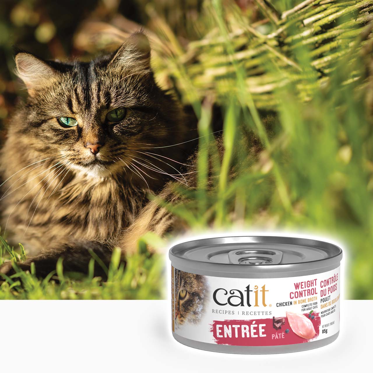 A fluffy tabby cat resting in grass next to a can of Catit Weight Control chicken pâté cat food