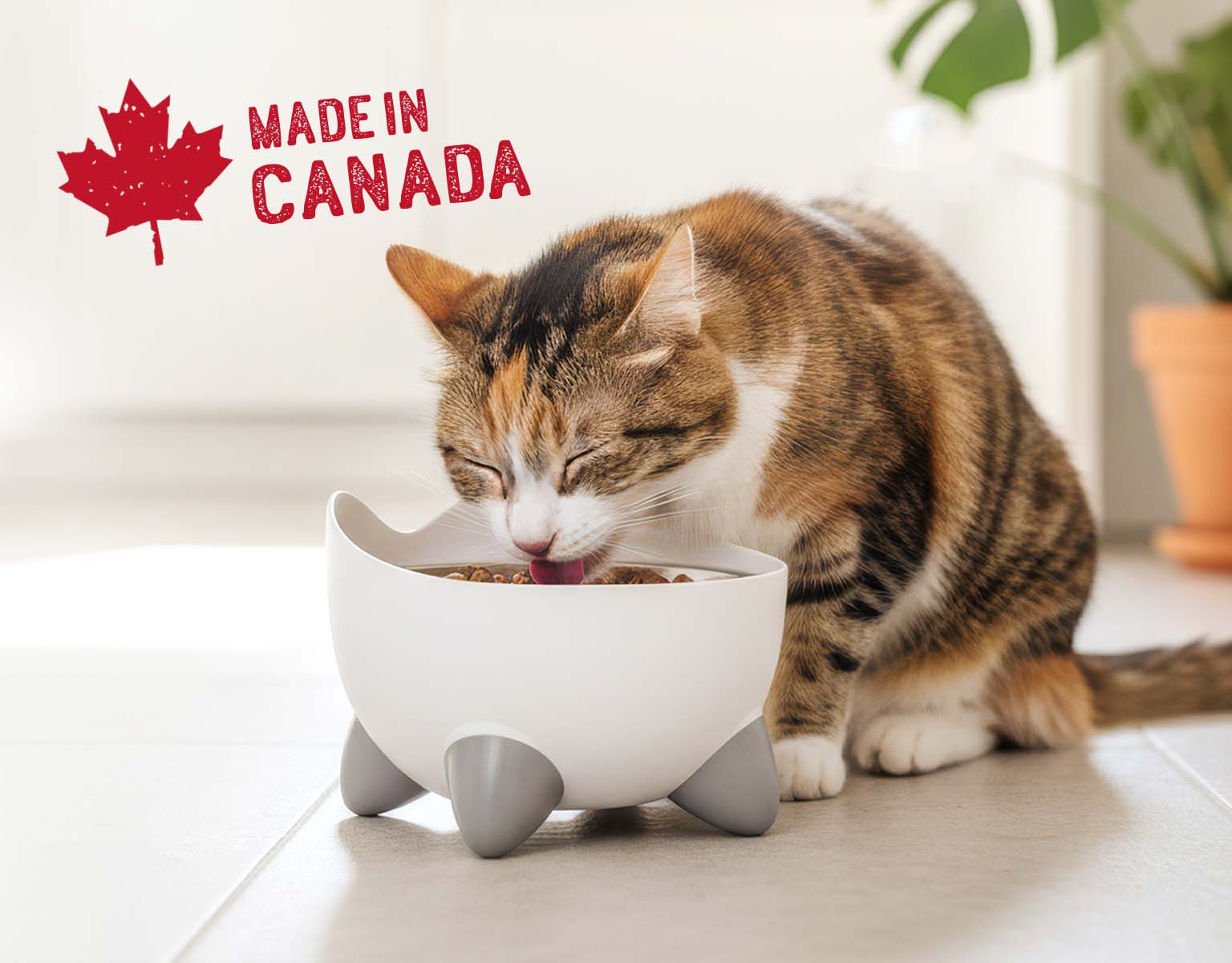 A calico cat eating from a white, cat-shaped bowl, with a Made in Canada label in the corner