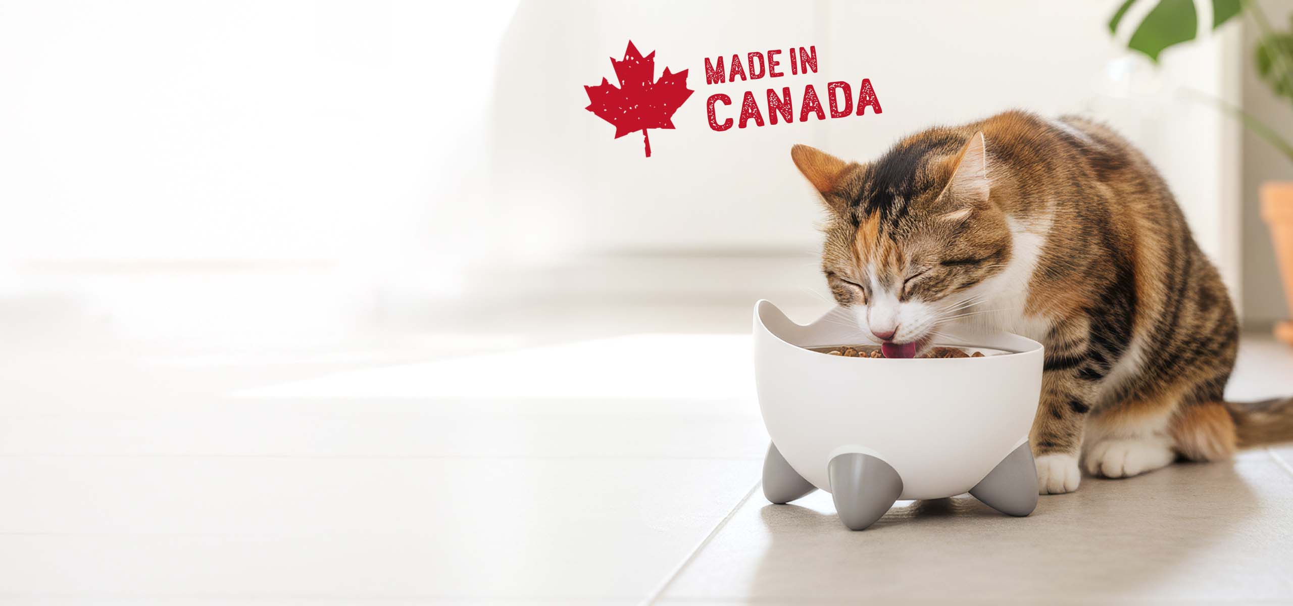 A calico cat eating from a white, cat-shaped bowl with grey feet, with a Made in Canada graphic above