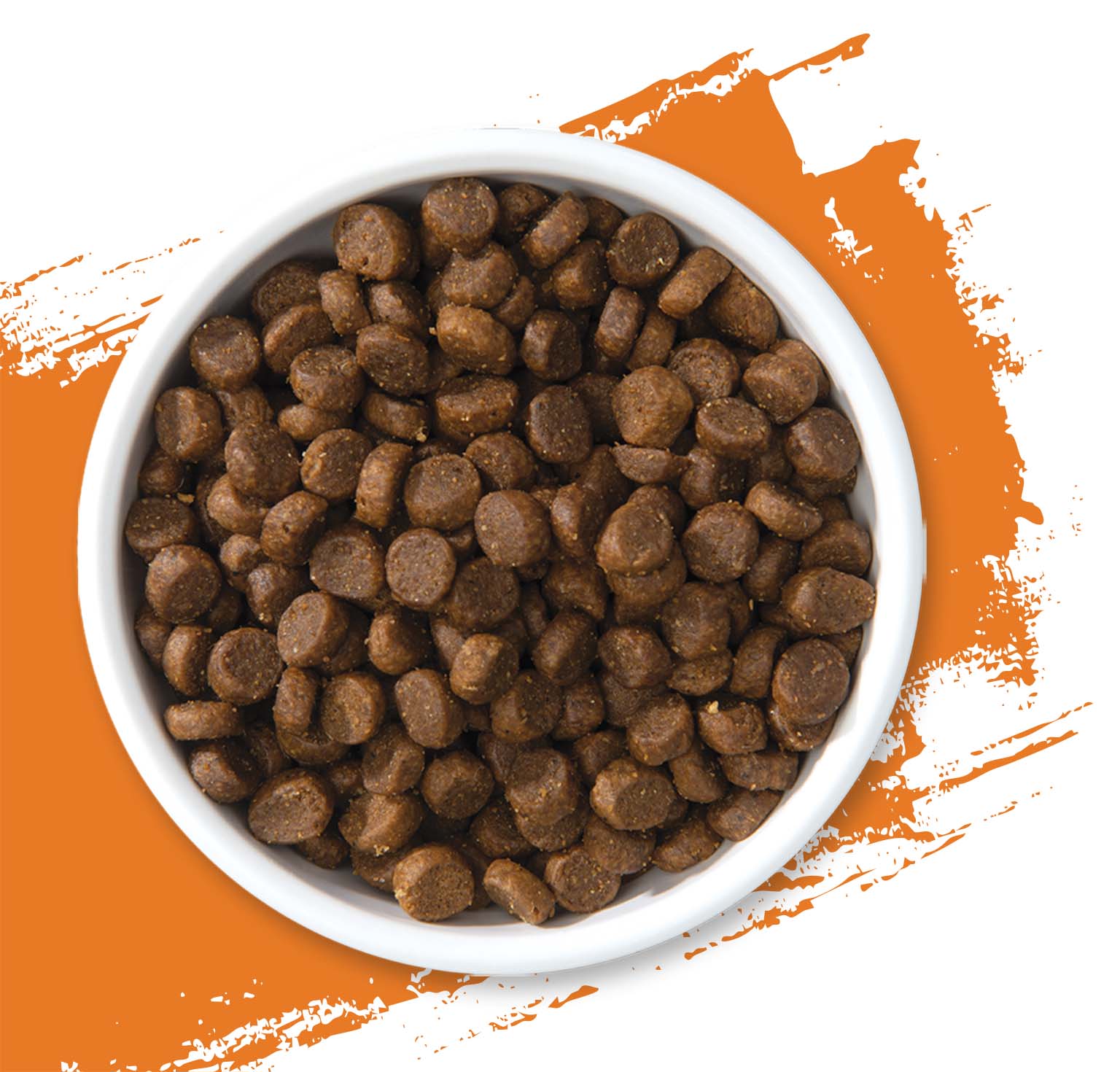 A white bowl filled with brown, round dry cat food kibble against an orange background