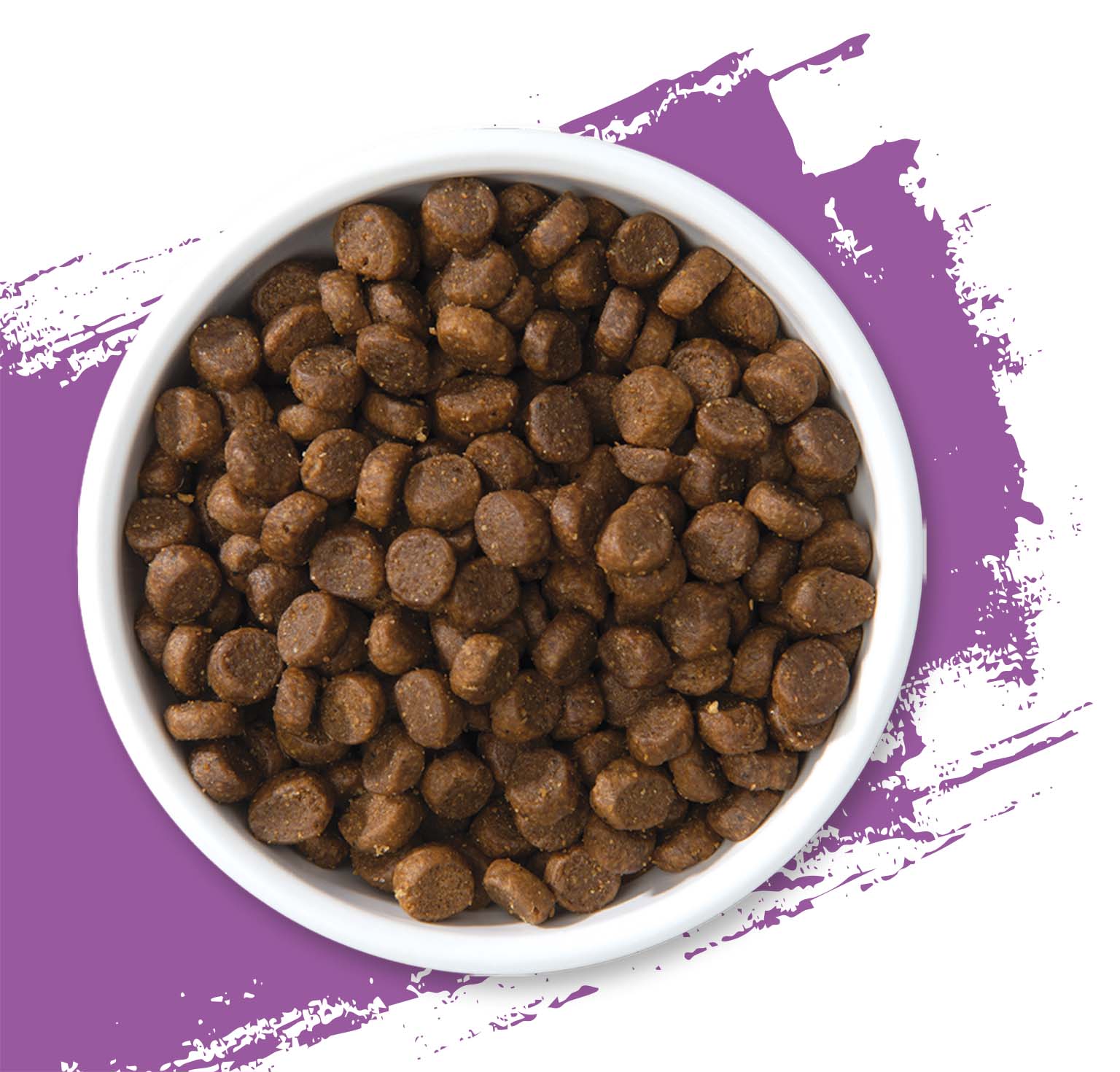 A white bowl filled with brown, round dry cat food kibble against a purple abstract background