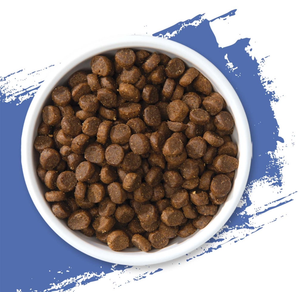 A white bowl filled with brown, round dry cat food kibble against a blue and white abstract background